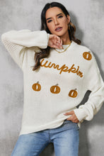 Load image into Gallery viewer, Pumpkin Embroidery Long Sleeve Sweater