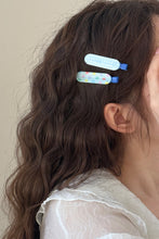 Load image into Gallery viewer, 2-Piece Acrylic Hair Pins