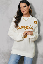 Load image into Gallery viewer, Pumpkin Embroidery Long Sleeve Sweater