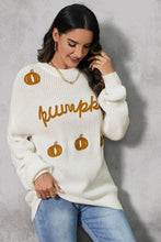 Load image into Gallery viewer, Pumpkin Embroidery Long Sleeve Sweater