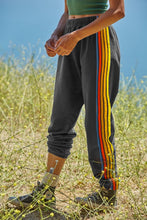 Load image into Gallery viewer, Contrast Striped Elastic Waist Active Pants