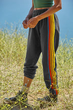 Load image into Gallery viewer, Contrast Striped Elastic Waist Active Pants